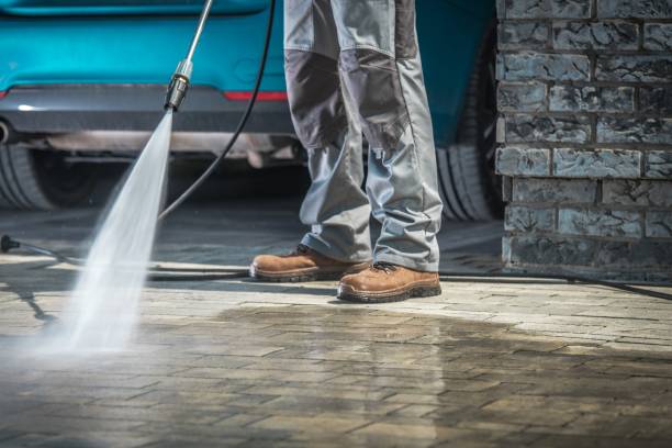 Best Fleet Vehicle Washing  in Elfers, FL