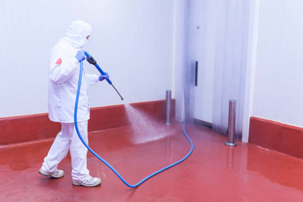 Best Pre-Holiday Cleaning  in Elfers, FL
