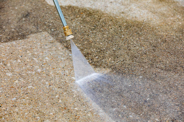 Best Sidewalk and Walkway Cleaning  in Elfers, FL