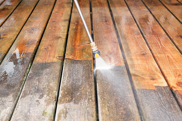 Best Dumpster Area Cleaning  in Elfers, FL